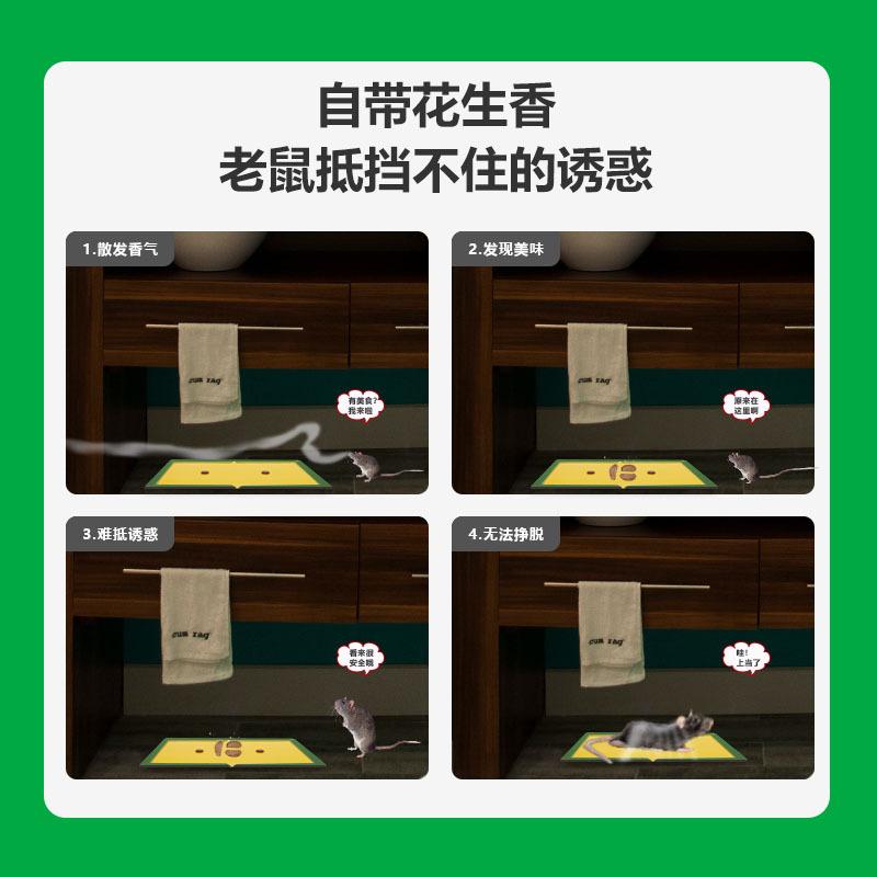 green leaf mouse sticker strong sticky rat sticker foldable mouse sticker mouse trap sticker gl1011 Application Scenario