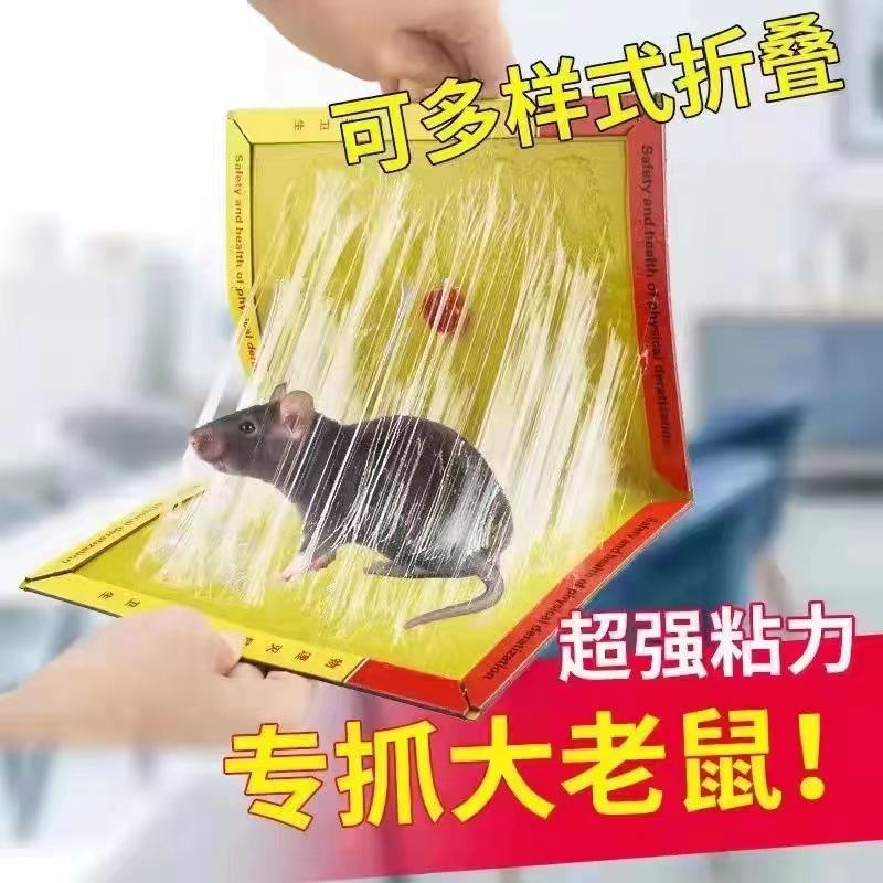 mouse sticker wholesale strong mouse trap sticker large thick strong fantastic rat extermination product rat trap mouse sticker manufacturer details Picture