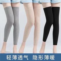 Kneecap Men and Women Warm Old Cold Legs Air-Conditioned Room Cold-Proof Lengthened Leg Gaurd Set Women's Thin Section Traceless Cotton Kneecap
