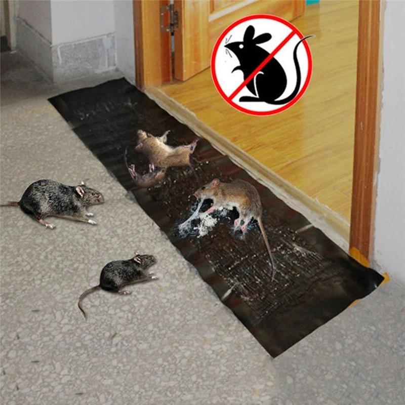 mouse trap stier strong mouse stier adhesive rge mouse capture device drive fantastic rattrap mouse-trap cage household killing whole nest full figure