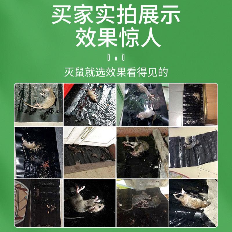 strong mouse trap sticker mouse sticker adhesive large mouse physical mousetrap fantastic rat extermination product household deratization magic carpet factory Specification drawing