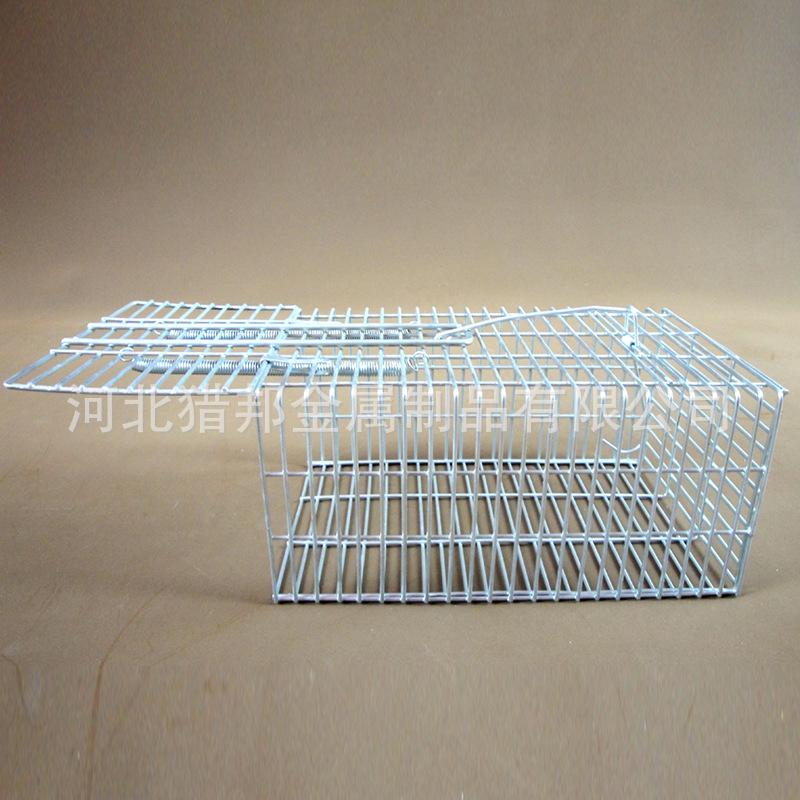 rat trap catching mice continuously catching mice iron rat trap cage children mouse trap mice catching mice and mice enemies with high sensitivity details Picture
