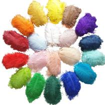flower shop special shot 50 pcs ostrich hair small feather diy handicraft dress decorative table lamp flower shop headband