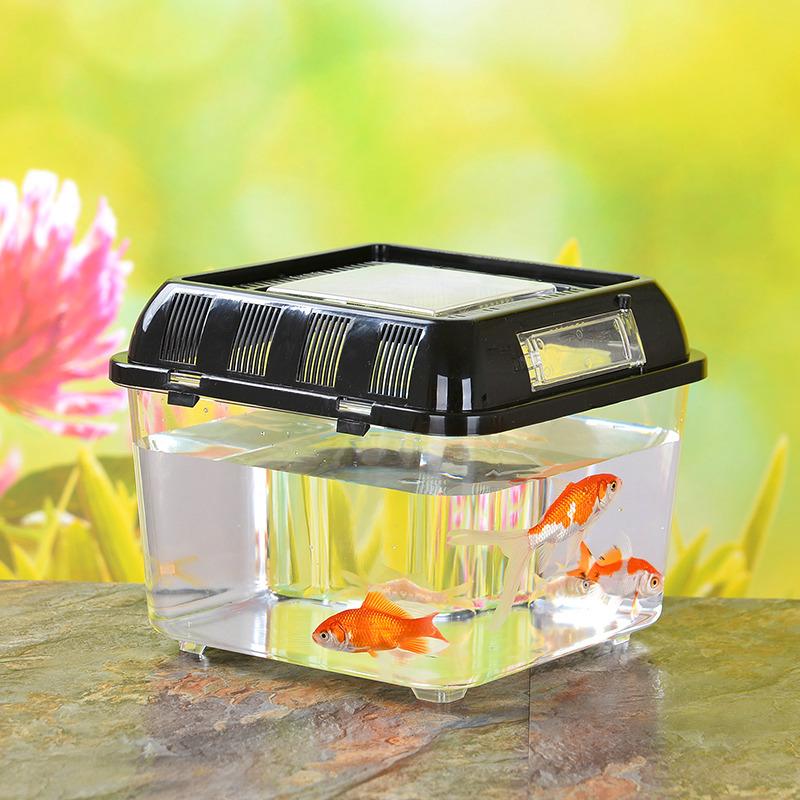 Wholesale Portable Turtle Transport Box Pet Box Transparent Plastic Fish Globe Hamster Box Transport Box Feeding Box Item Picture