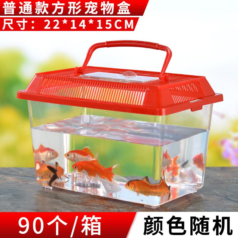 Wholesale Plastic Turtle Box Turtle Jar Tortoise Feeding Fish Tank Fish Globe Pet Box with Drying Table Application Scenario