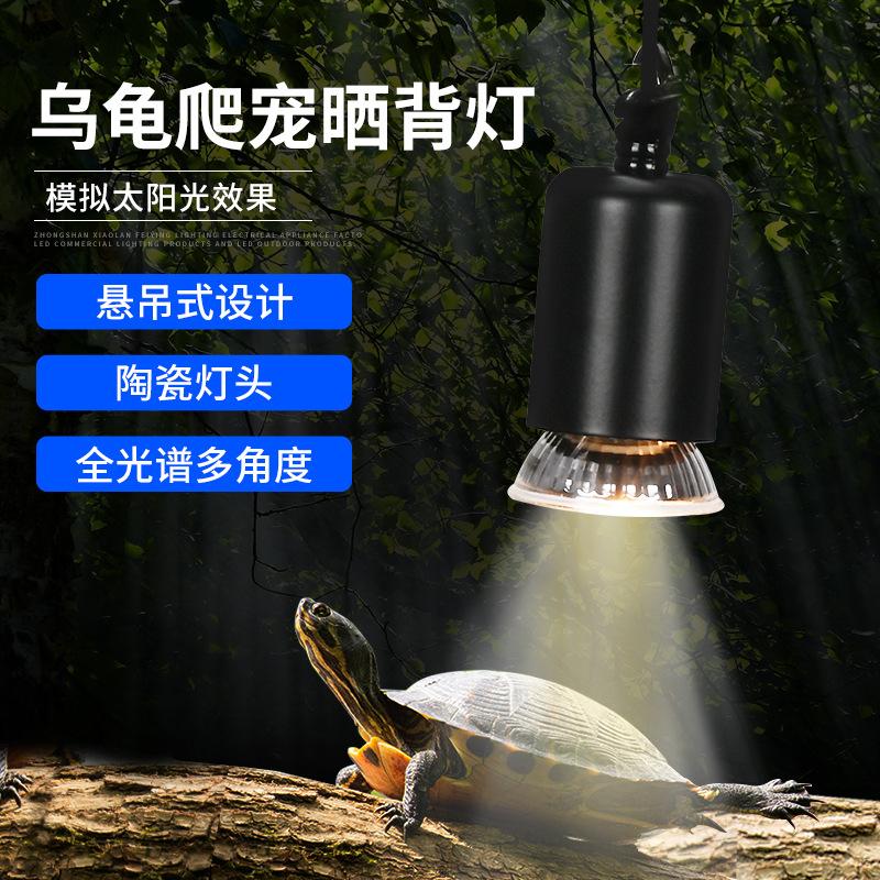 factory aquarium pet full spectrum chopsticks container 220v hanging fast heating turtle climbing pet drying back light wholesale