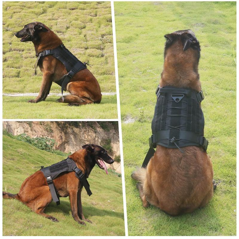 pet's chest-back dog tactical chest and back nylon tow rope vest clothes outdoor military dog training chest strap wholesale details Picture