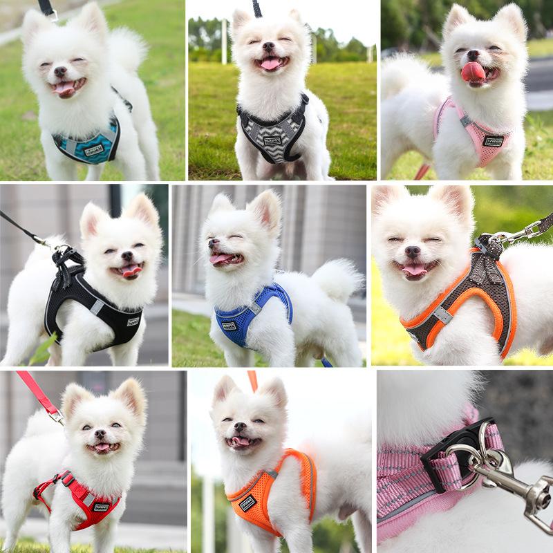 wholesale dog breast strap set pet hand holding rope chest back small and medium dogs puppy breathable pet rope Application Scenario