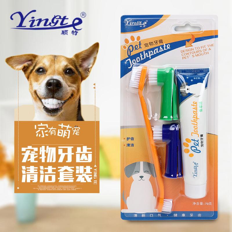 pet toothpaste toothbrush dog dog  m teeth cleaning dog  finger stall kitten puppy disposable toothbrush toothpaste set full figure