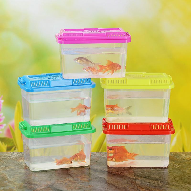 Factory Wholesale Small and Medium Portable Plastic Fish Tank Turtle Jar Transparent Pet Box Crawler Feeding Box Transport Box details Picture