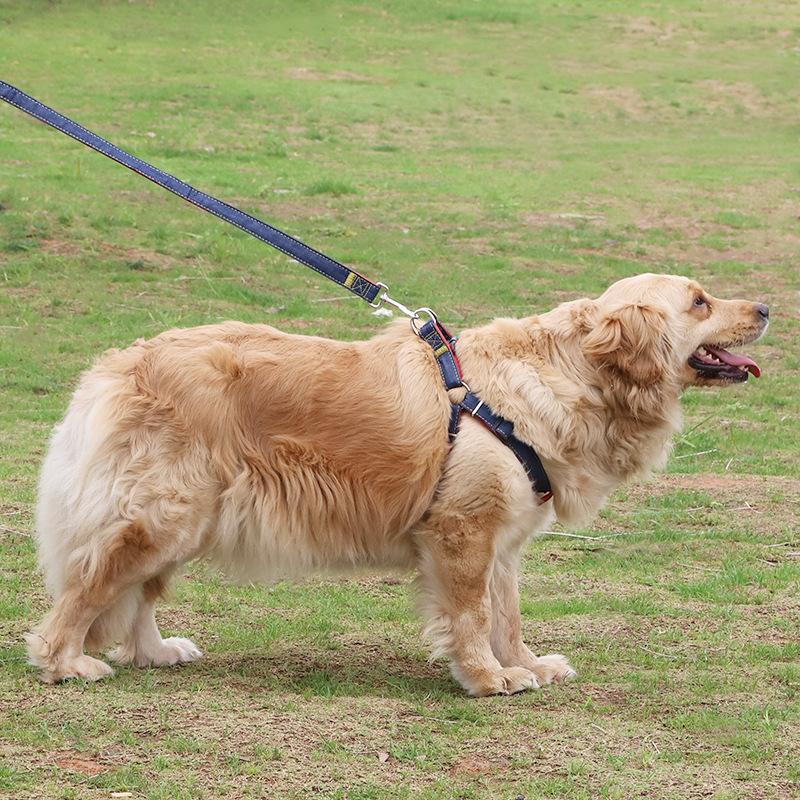 Wholesale Pipetao Dog Leash Dog Leash Pet Supplies Chest and Back Traction Dog Leash Denim Brace Pet Dog Hand Holding Rope Application Scenario
