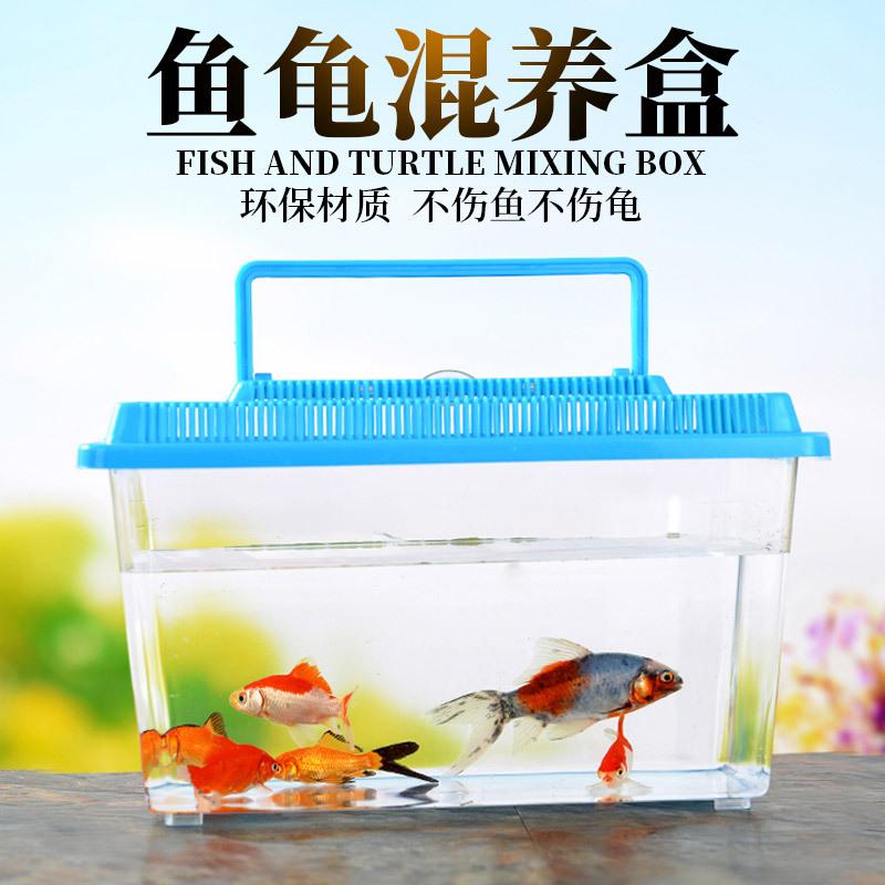 Wholesale Turtle Transport Box Large Pet Box Transparent Plastic Fish Globe Hamster Box Portable Ecological Box full figure
