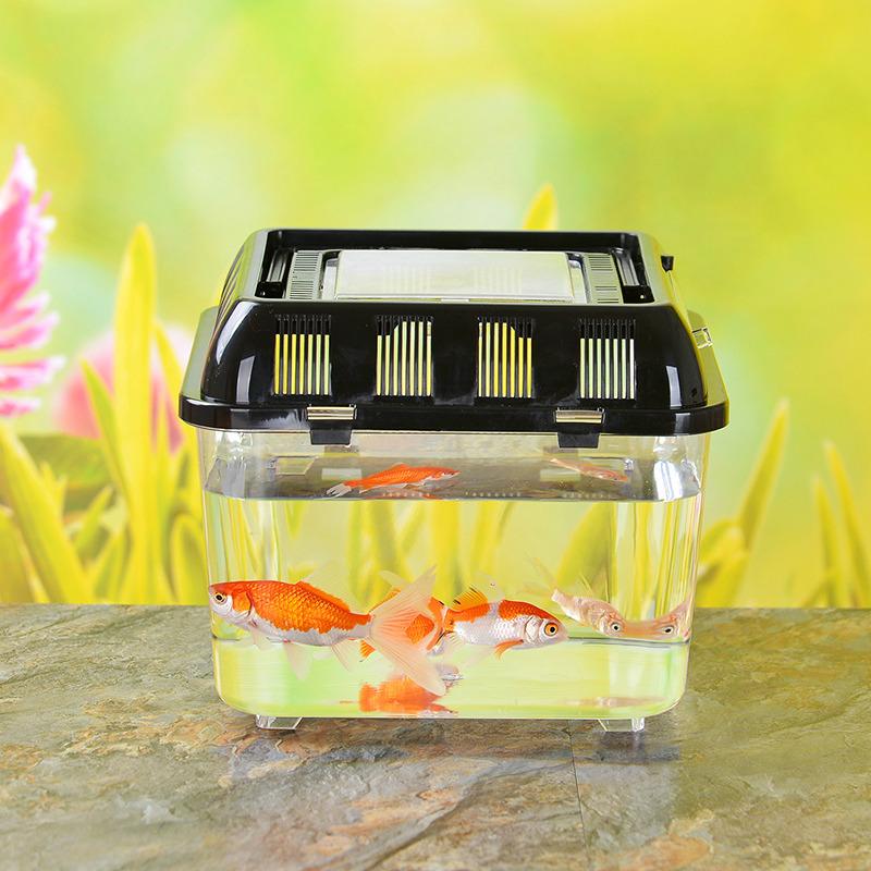 Wholesale Portable Turtle Transport Box Pet Box Transparent Plastic Fish Globe Hamster Box Transport Box Feeding Box Application Scenario