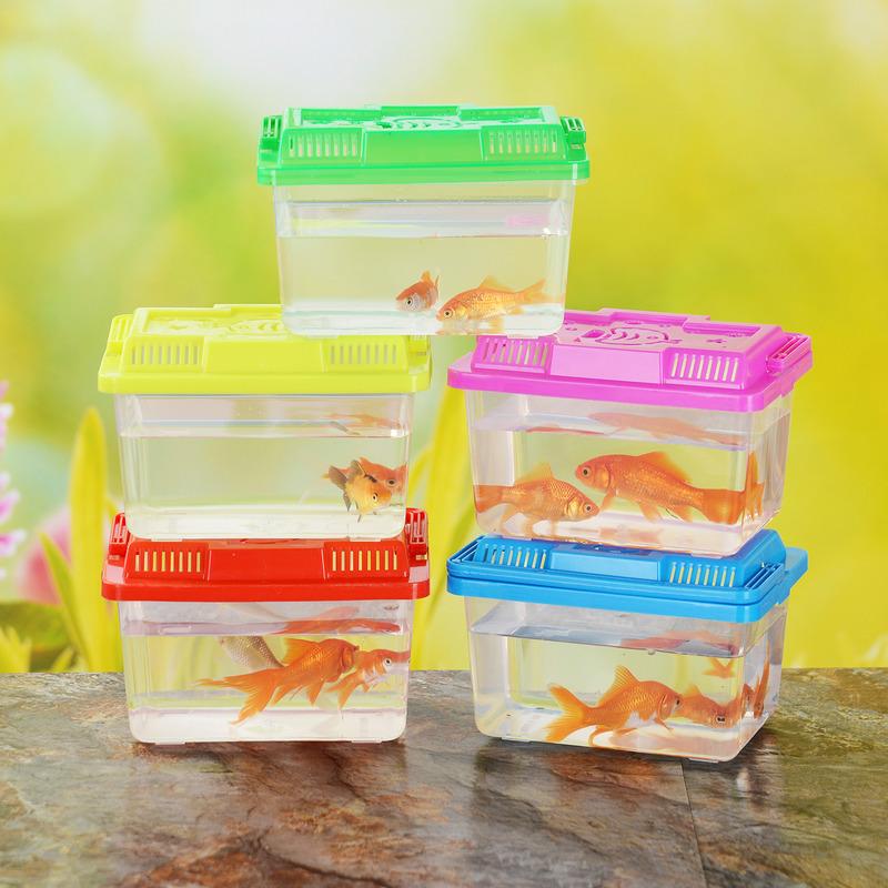 Factory Wholesale Small and Medium Portable Plastic Fish Tank Turtle Jar Transparent Pet Box Crawler Feeding Box Transport Box Specification drawing