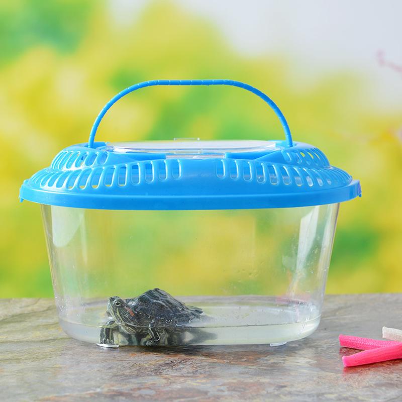 large and medium small size plastic turtle jar fish globe crawler feeding pet box portable transparent transport box turtle box Application Scenario
