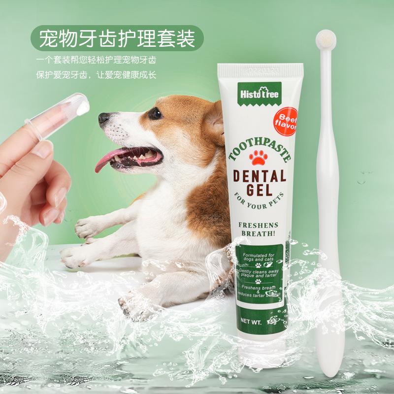 pet toothpaste set cat toothbrush cat toothpaste set dog toothbrush finger sleeve oral cleaning pet supplies details Picture
