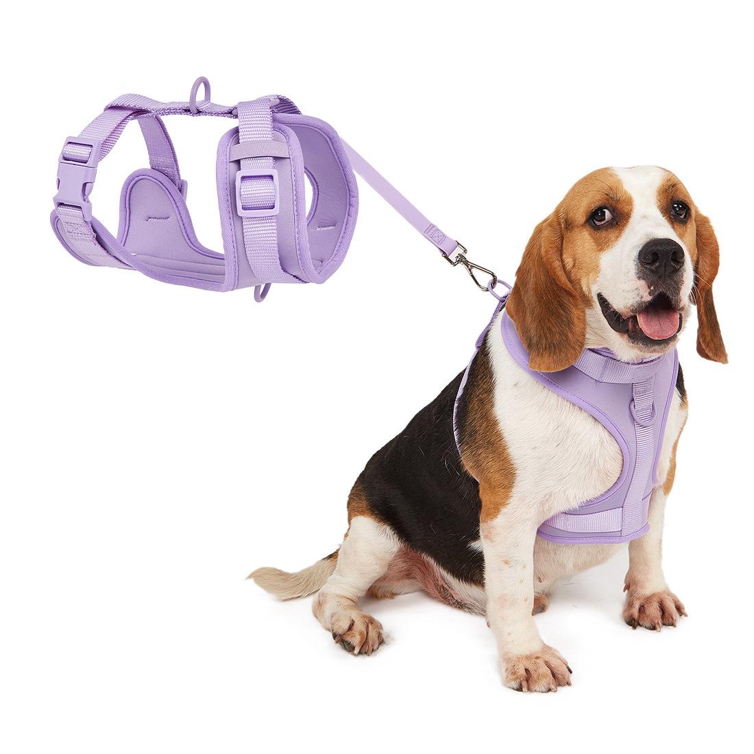 pet harness vest-style small and medium-sized dogs dog rope leash chest and back reflective dog chain anti breaking loose dog leash Application Scenario