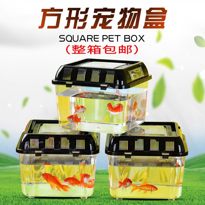 Wholesale Portable Turtle Transport Box Pet Box Transparent Plastic Fish Globe Hamster Box Transport Box Feeding Box full figure