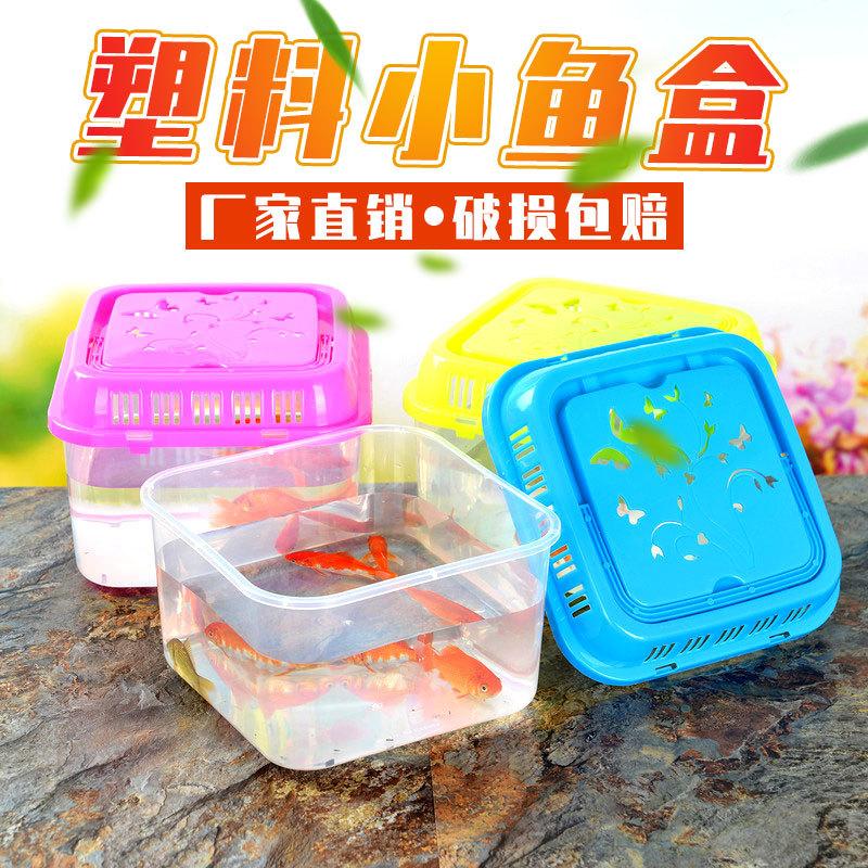 Wholesale Portable Turtle Transport Box Pet Box Transparent Plastic Fish Globe Hamster Box Transport Box Feeding Box details Picture