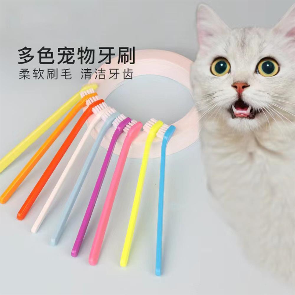 dog toothbrush pet supplies wholesale pet toothbrush single head toothbrush oral cleaning toothbrush dog care