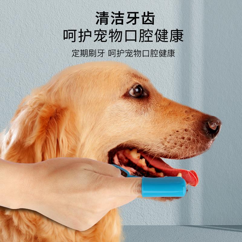 pet supplies pet finger toothbrush dog  finger toothbrush toothbrush oral teeth cleaning supplies Specification drawing