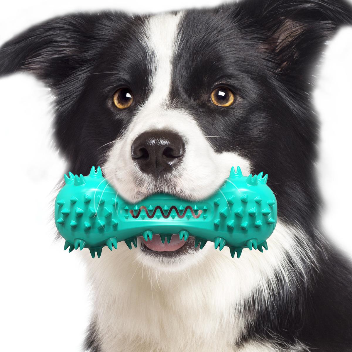 amazon hot sound dumbbell dog toy molar rod bite-resistant glue tooth cleaning bone toothbrush pet supplies Application Scenario