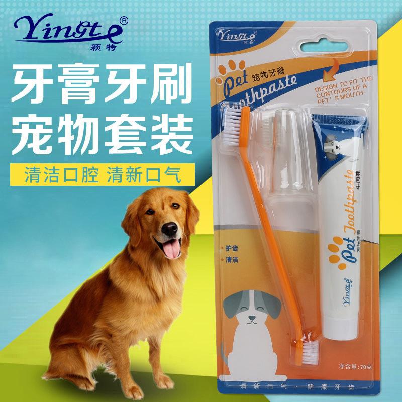 pet toothbrush toothpaste dog toothpaste set dog oral care toothbrush pet supplies factory direct sales
