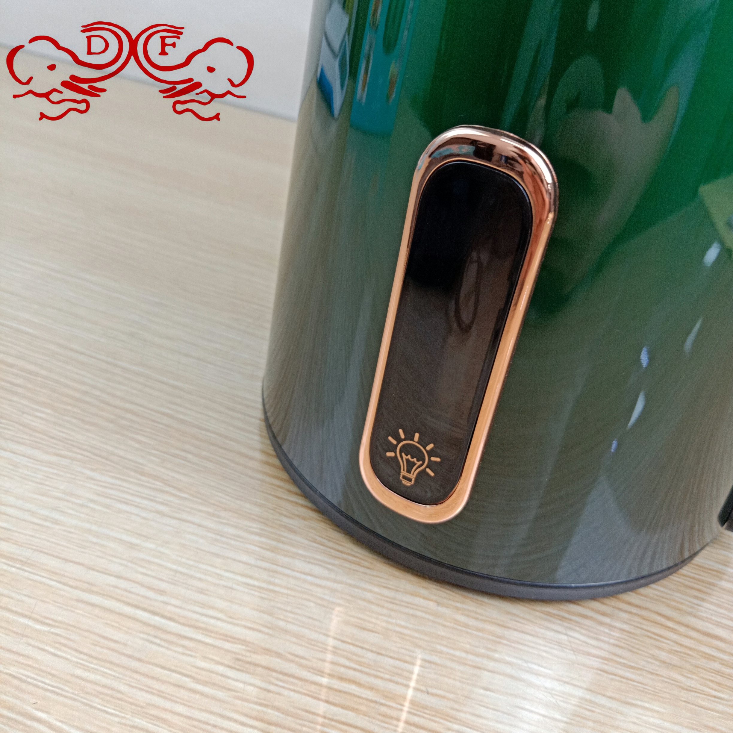 DF68862 Electric kettle, household boiling kettle, electric kettle, insulated boiling kettle, boiling water, electric kettle, pot kettle, DF TRADINGHOUSE details Picture