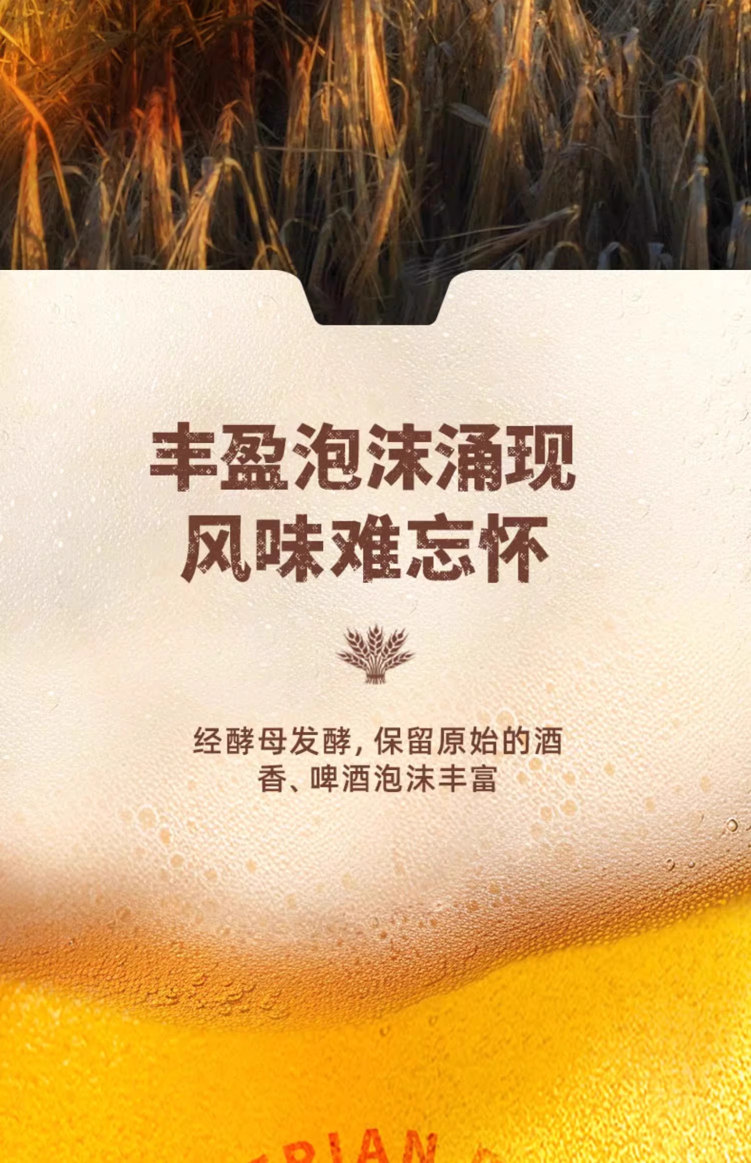 包邮批发！俄罗斯进口啤酒精酿啤酒烈酒 雪松树白啤酒1.2L 4.8%详情9