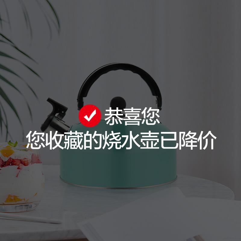 stainless steel sound hemisphere kettle flat bottom large capacity whistling kettle kettle induction cooker universal details Picture