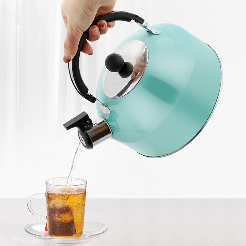 stainless steel sound hemisphere kettle flat bottom large capacity whistling kettle kettle induction cooker universal Application Scenario