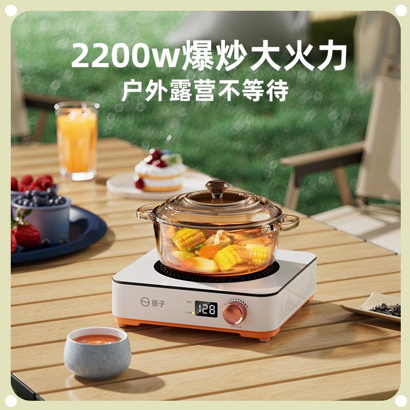 electric ceramic stove, multi-functional tea cooking stove, tea stove cooking induction cooker, small electric tea stove electric ceramic stove, household non-pick pot Specification drawing