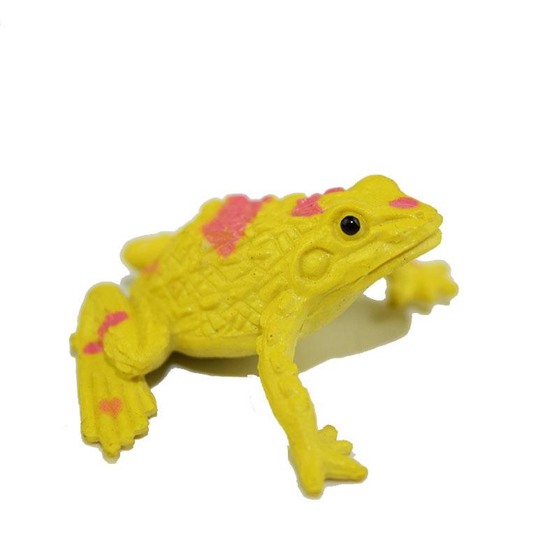 cross-border simulation frog model toy tropical rain frog goldfish 12 small frog stall hot sale animal model Item Picture