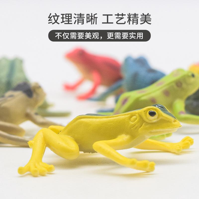 cross-border simulation frog model toy tropical rain frog goldfish 12 small frog stall hot sale animal model Specification drawing