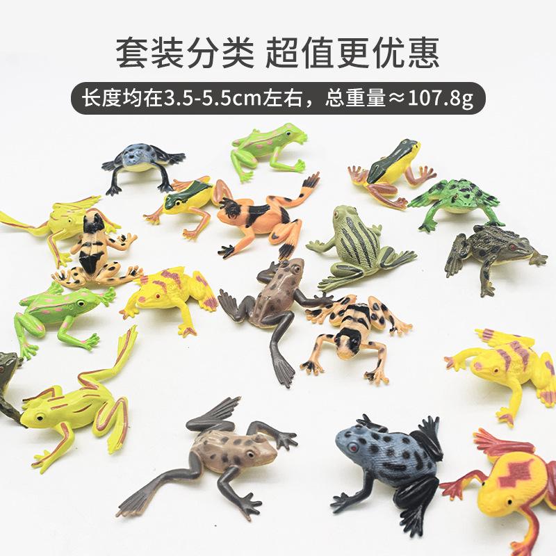 cross-border simulation frog model toy tropical rain frog goldfish 12 small frog stall hot sale animal model details Picture