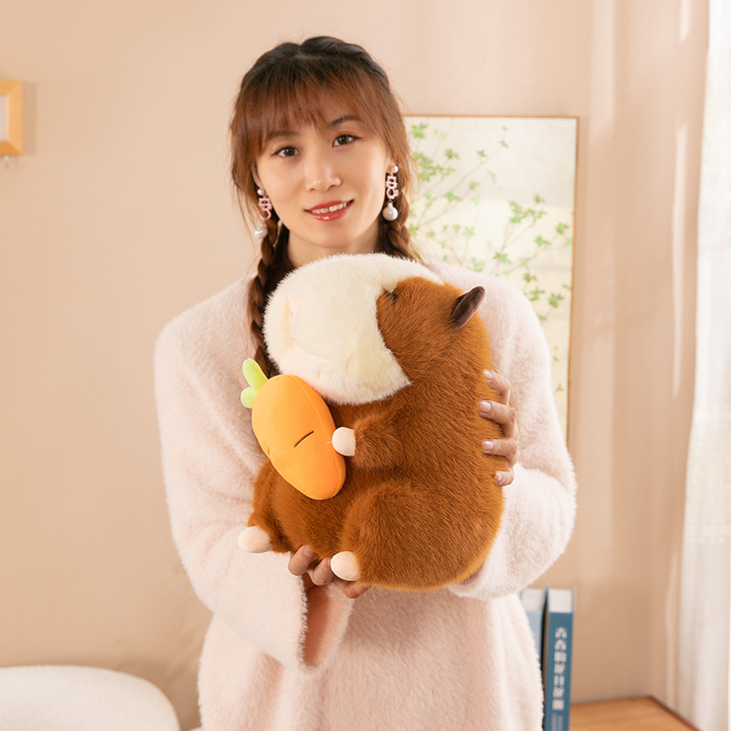 公仔抱枕实物图
