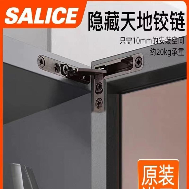 Italian Saliceair World Hinge Damping Wardrobe and Cabinet Wooden Door Gss Aluminum Frame Door Hinge full figure
