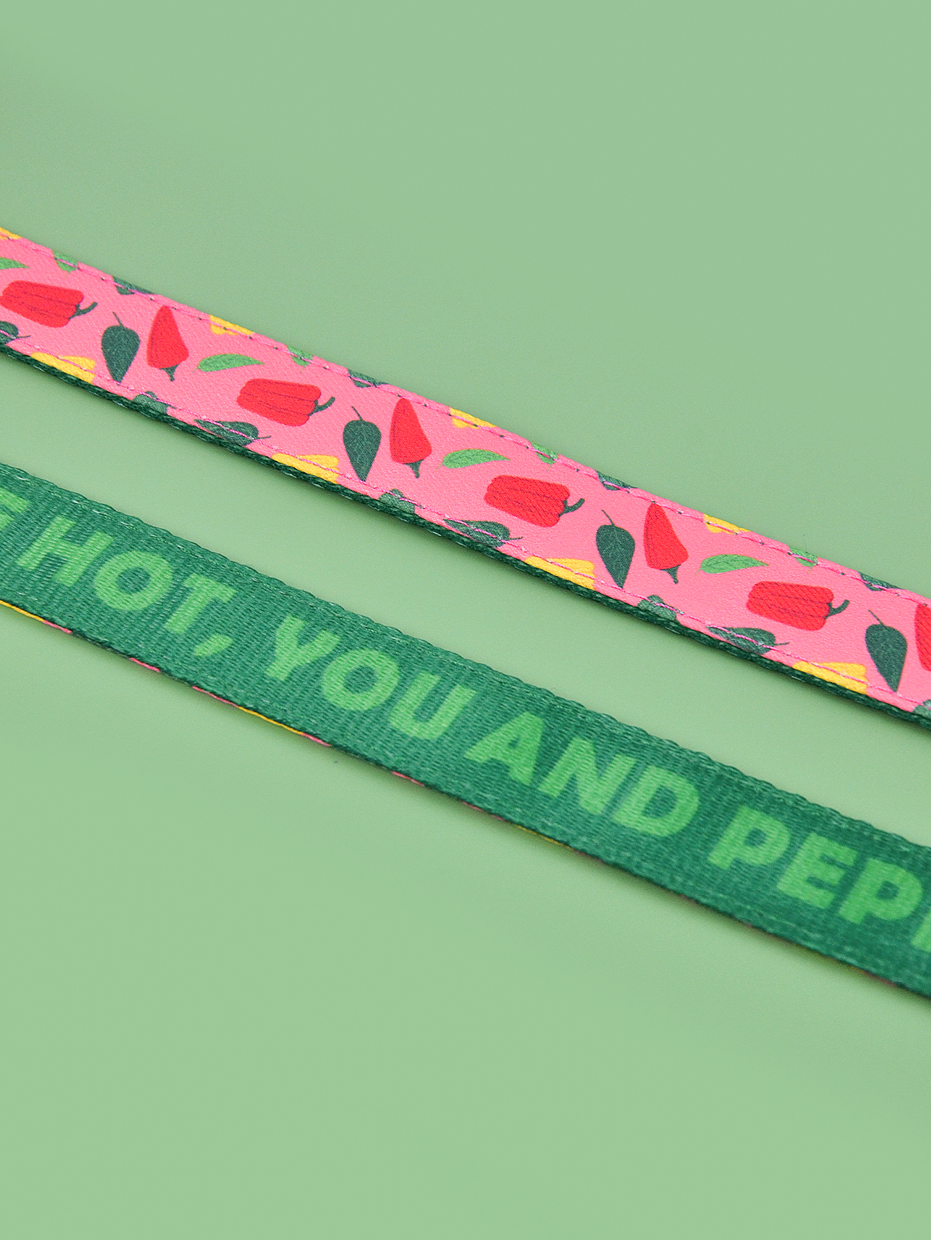 狗狗牵引实物图