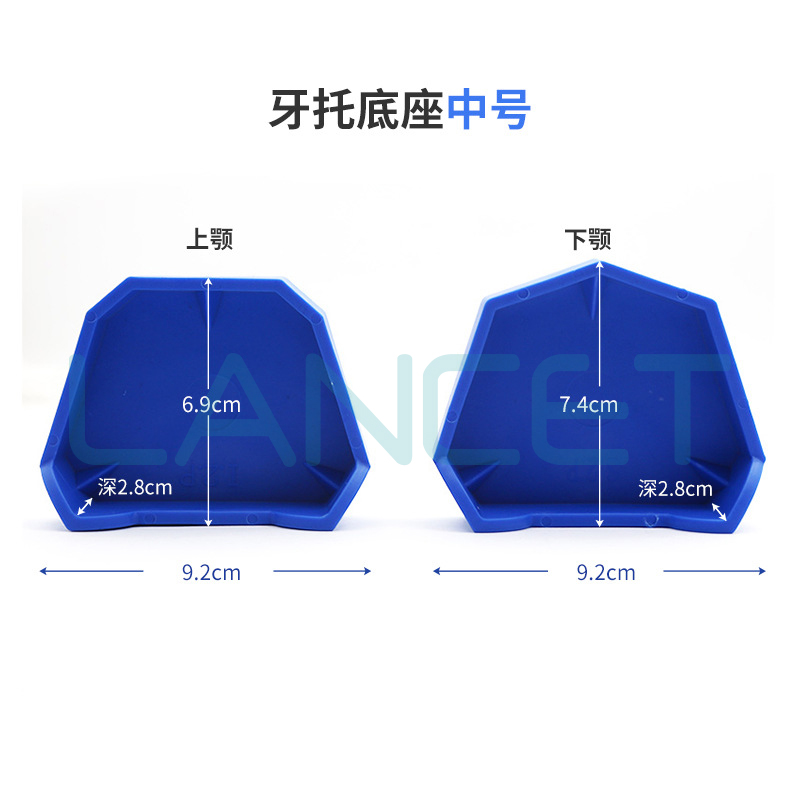 牙科硅橡胶带脚牙托底座印模灌模石膏底座齿科模型底座口腔材料详情7