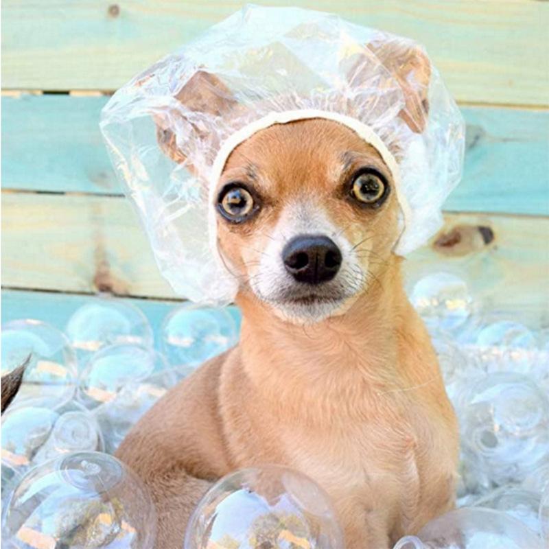 100 PCs Plastic Disposable Shower Cap Hair Treatment Cap Dyeing Hat Shampoo Shower Strip Hat Application Scenario