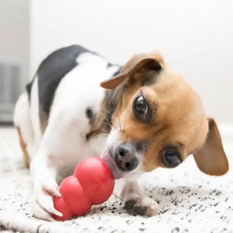 kong brand new authentic american imported dog natural rubber bite gourd toy food leakage tumbler pet resistance Specification drawing