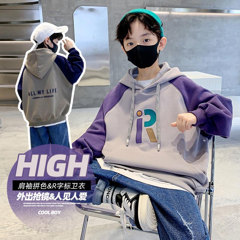 Boy's Hoody Hooded Embroidered Pure Cotton 2022 Autumn New Medium and Big Boys Hooded Sweater Trendy All-Matching full figure