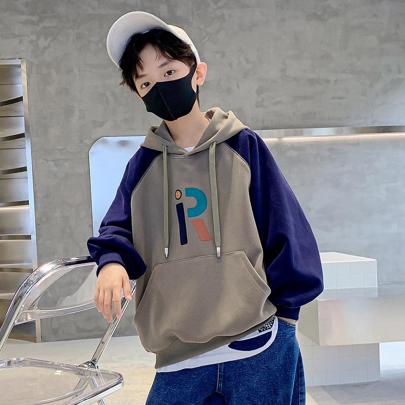 Boy's Hoody Hooded Embroidered Pure Cotton 2022 Autumn New Medium and Big Boys Hooded Sweater Trendy All-Matching Application Scenario