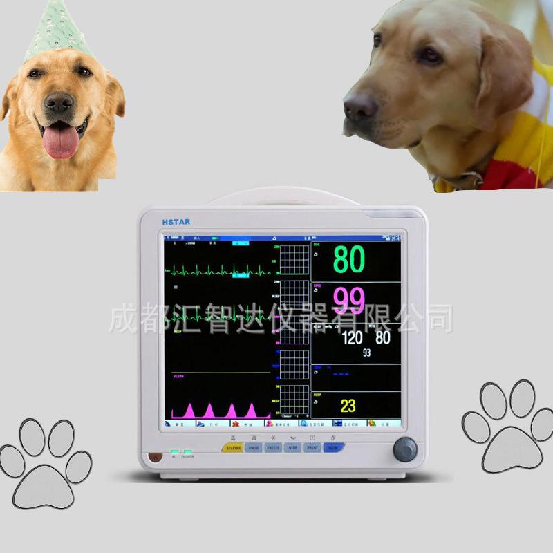 For Export Huizhida Medical 12-Inch Portable Pet Animal Veterinary Heart Electric Monitor Multi-Parameter Pet Monitor