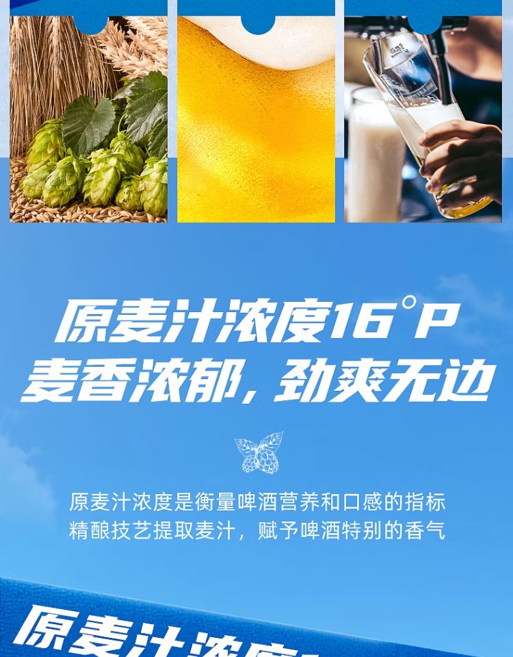 包邮批发！俄罗斯进口酒水休闲零食波罗的海9号烈性啤酒450ML 8度详情9