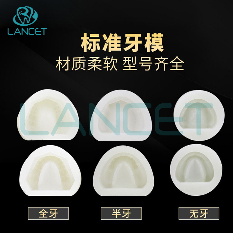 牙科标准牙模软硅橡胶全口阴模石膏模具牙模口腔制模取模分体模型