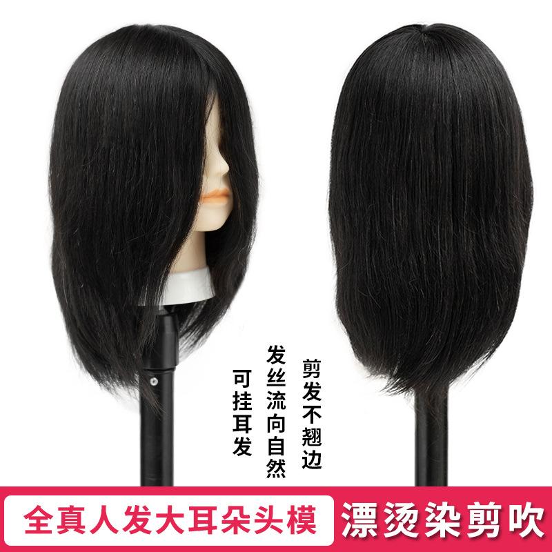 mannequin head hairdressing all real hair apprentice practice hair cutting doll hairstyle mannequin head type haircut special hot dye dummy model head Specification drawing