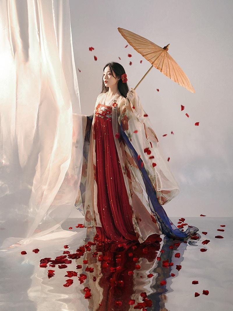 zhu yan camellia embroidered tang style one-piece hanfu long robe printed large sleeve shirt chest pleated skirt women's han chinese clothing Application Scenario