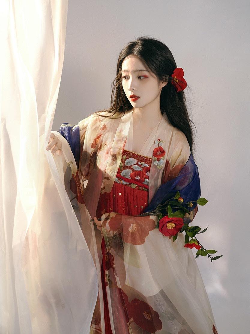 zhu yan camellia embroidered tang style one-piece hanfu long robe printed large sleeve shirt chest pleated skirt women's han chinese clothing Item Picture