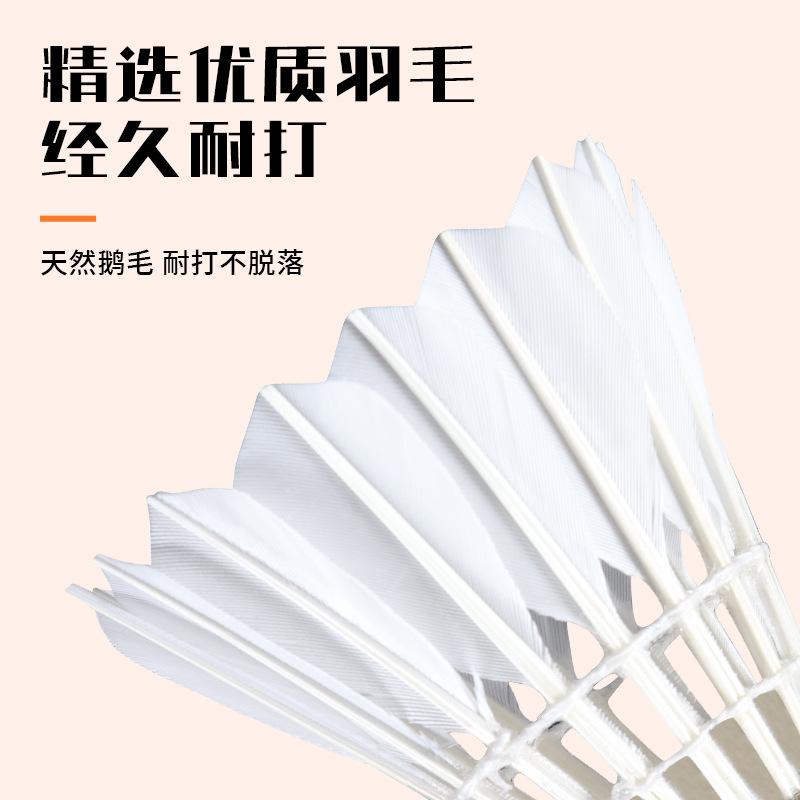 Weiyan Badminton 12 PCs Shuttlecock Durable Indoor and Outdoor Family Entertainment Badminton Factory Direct Sales Wholesale Application Scenario
